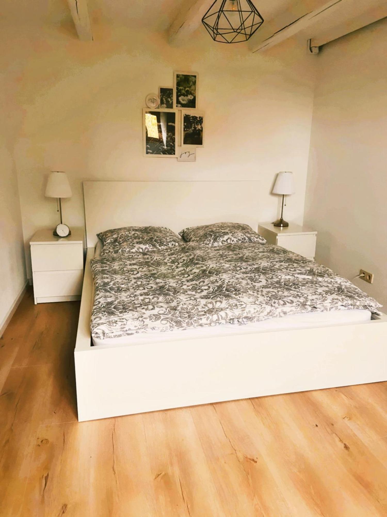 Historische Altbauwohnungen Im Zentrum Von - Apolonialiving Holiday home Zwickau